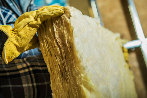 Best Attic Insulation Installation  in Watts Mills, SC