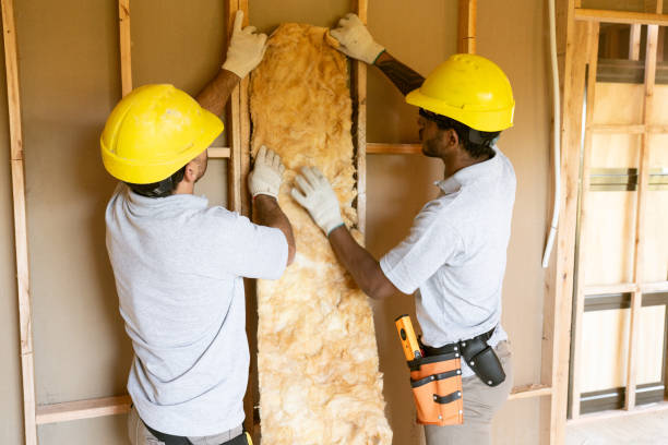 Best Crawl Space Insulation  in Watts Mills, SC