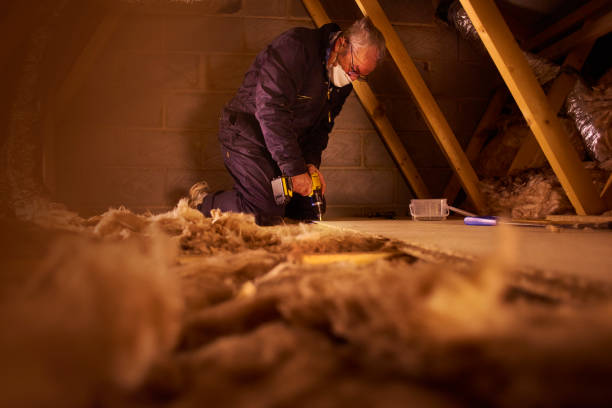 Best Local Insulation Services  in Watts Mills, SC
