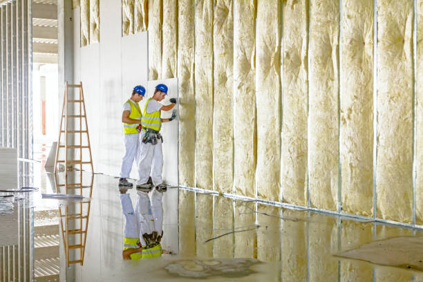 Best Insulation Contractor Near Me  in Watts Mills, SC